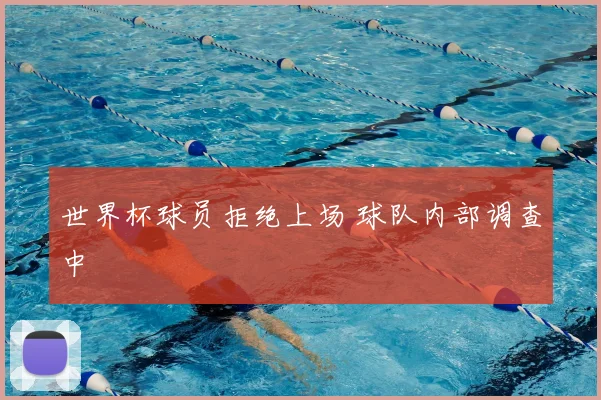 世界杯球员拒绝上场 球队内部调查中